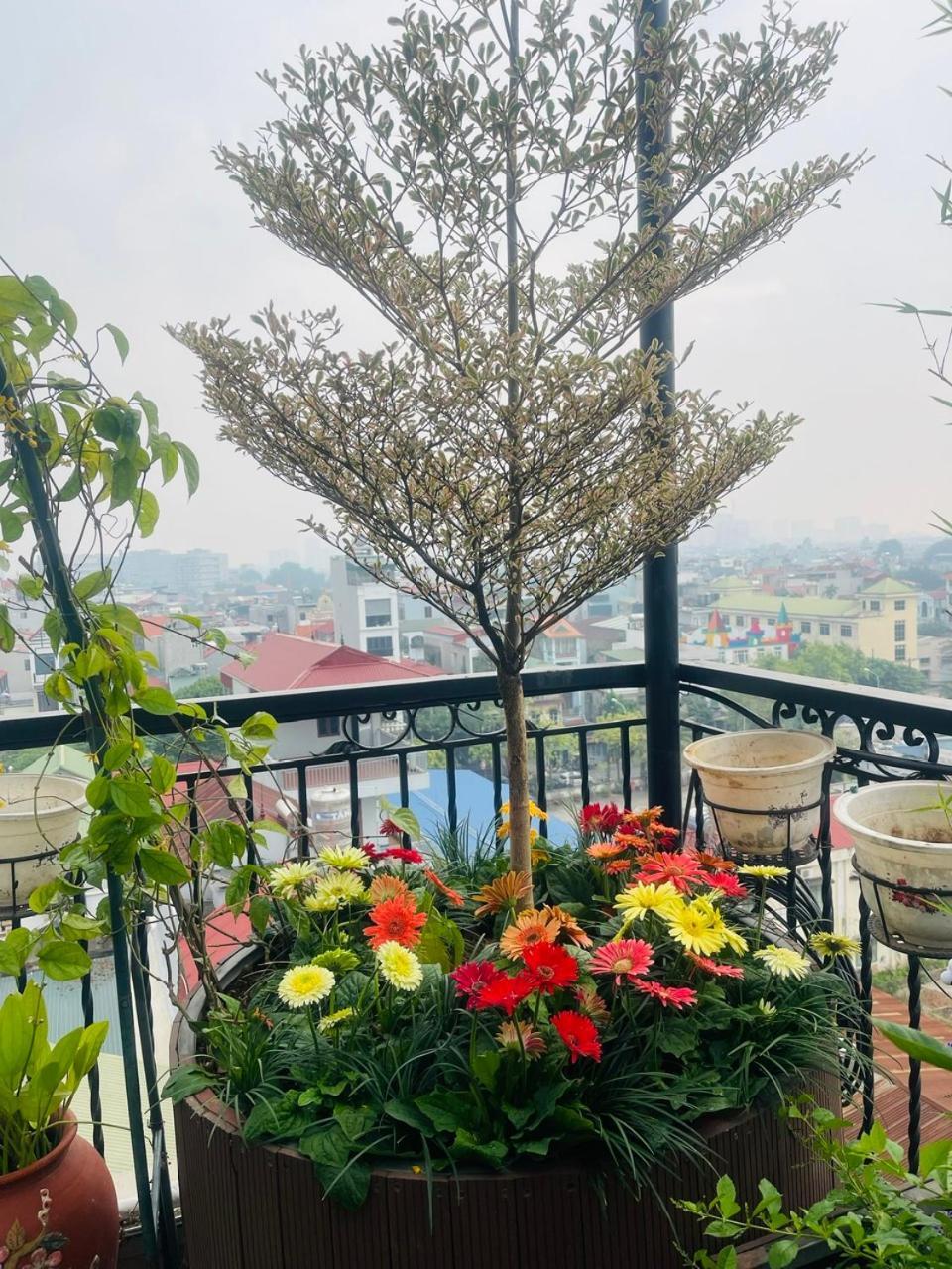 Appartement N&d Happy House- - Phong Tieu Chuan Khach San, Bep Nau Va Nha Ve Sinh Trong Khuon Vien *